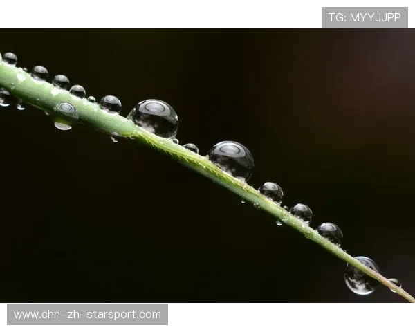 太阳状态低迷：你的生活是否也陷入了阴云密布？