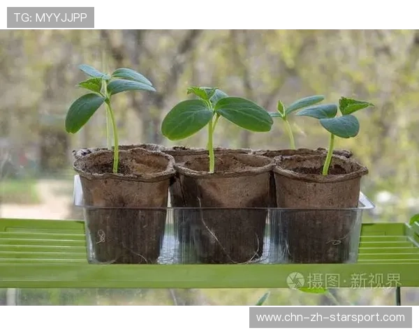 空间利用🌱效率爆
