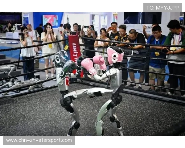 世界拳击锦标赛赛季后观众文明观赛长期推广计划再扩展，拳击世界比赛